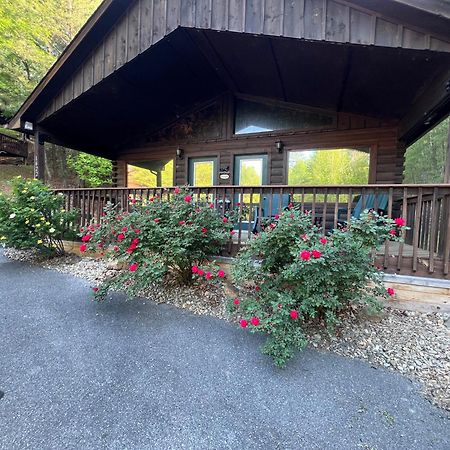 Beary Tale! Your Happily Ever After Starts Here! Sevierville Exterior photo